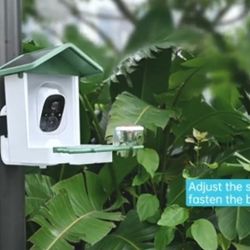 Bird feeder camera 1296p smart bird feeder