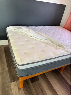 Snfpne Queen Mattress