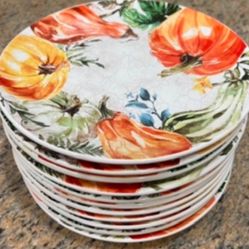 World Market Harvest Pumpkin Crackle Salad Plates.  Quantity - 11 .  