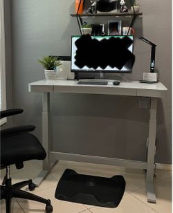 Costco Standing Desk $150