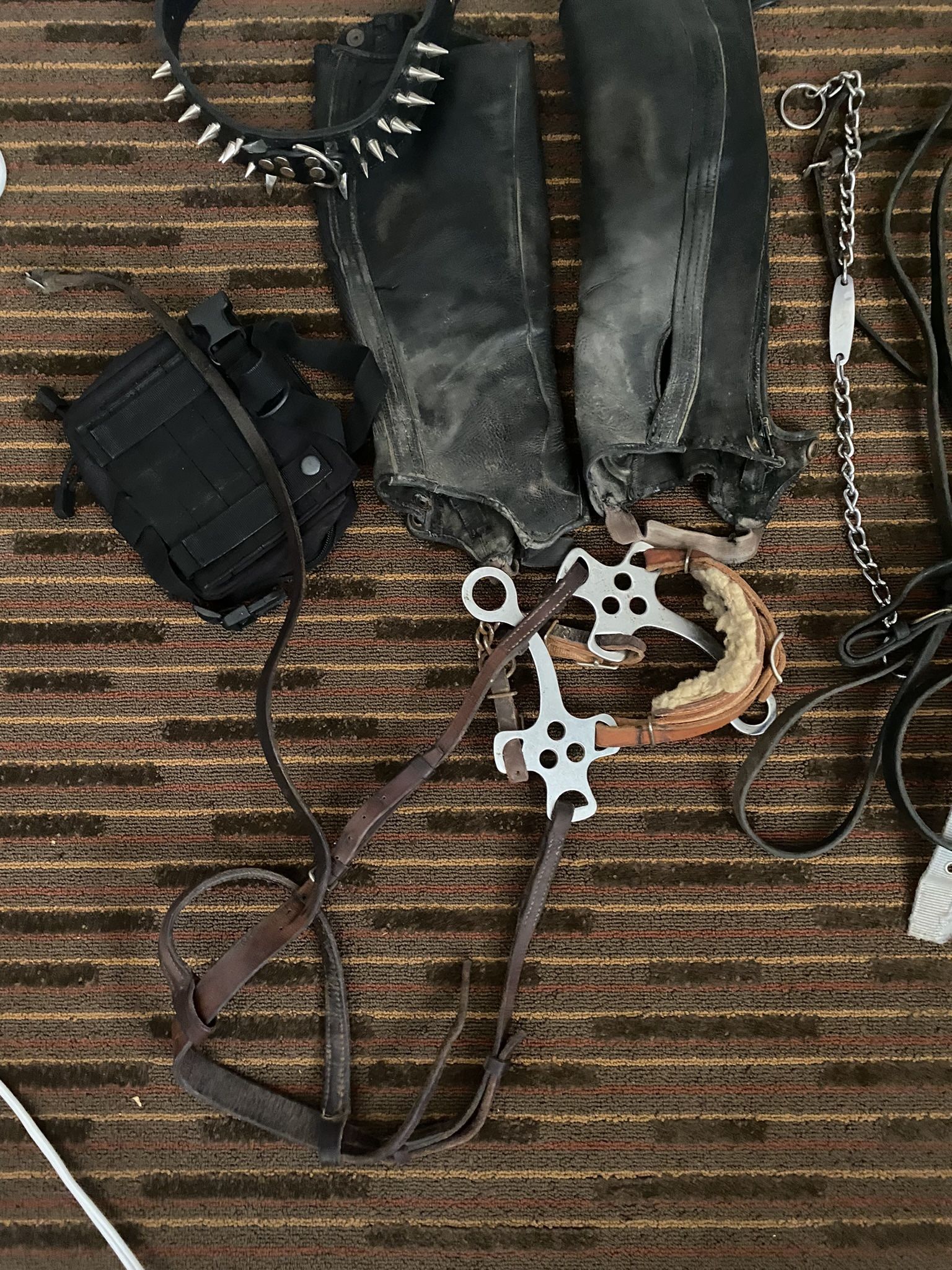 Horse Tack