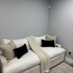 Recliner  Couch/sofa