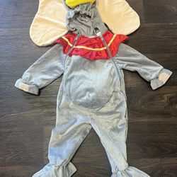 Disney Halloween Costume 