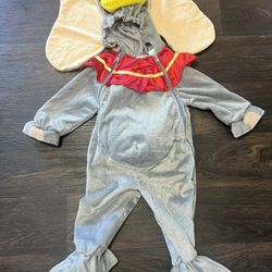 Disney Halloween Costume 