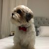 Bobby