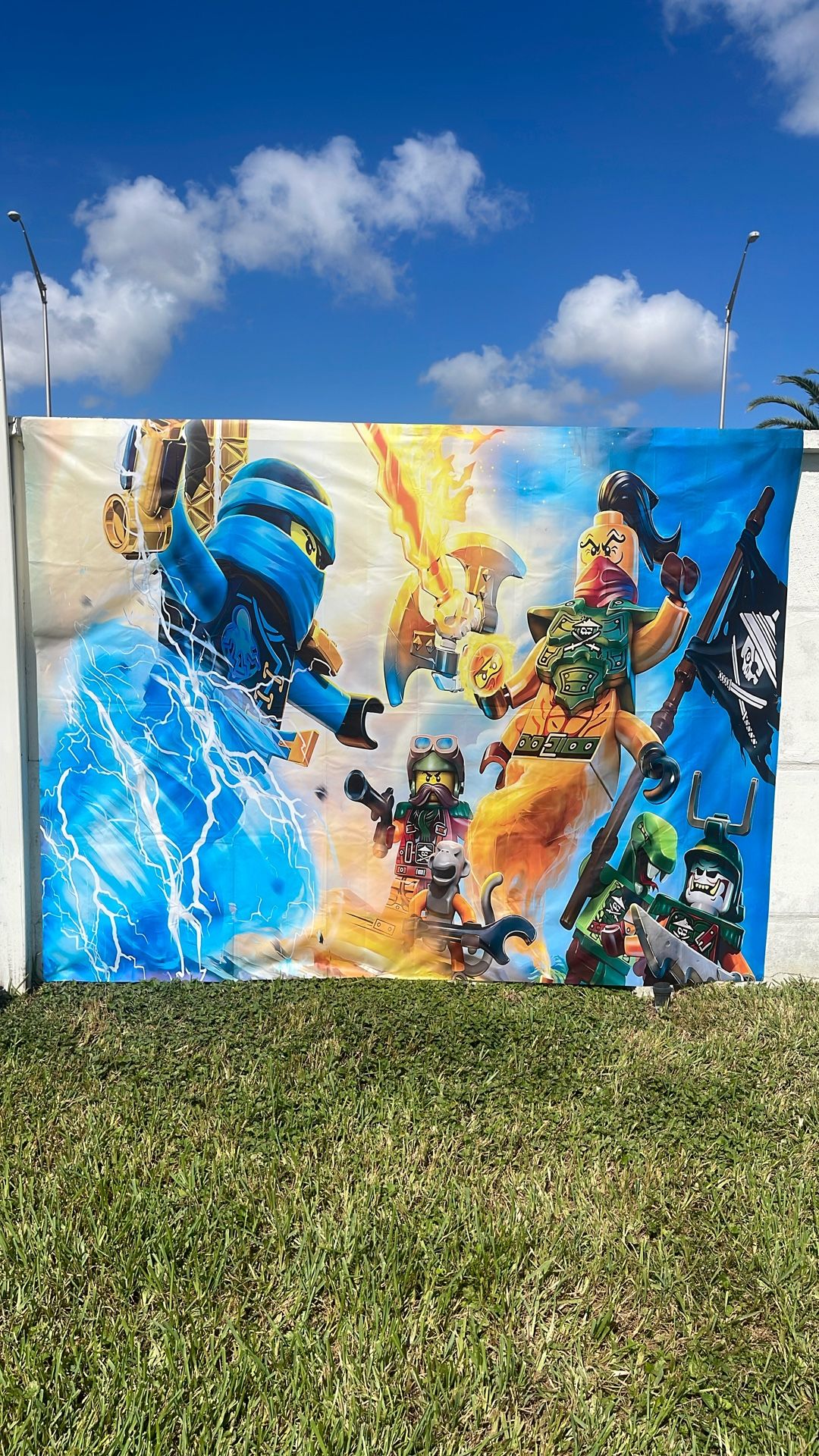 Ninjago Backdrop