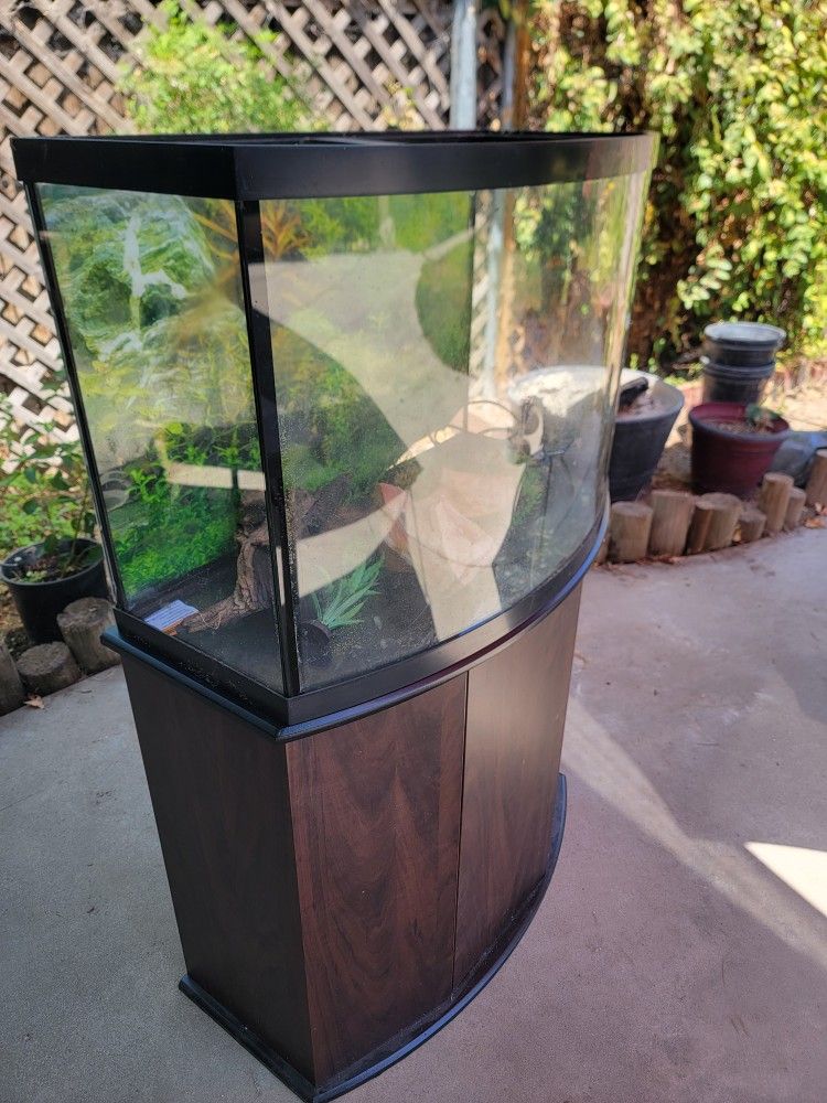 Fish Tank and Accessories $200