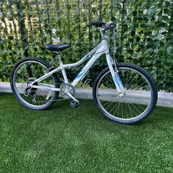 GIANT REVEL YOUTH MOUNTAIN BIKE 24” Wheels
