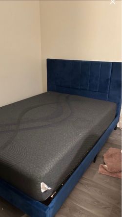 Twin XL