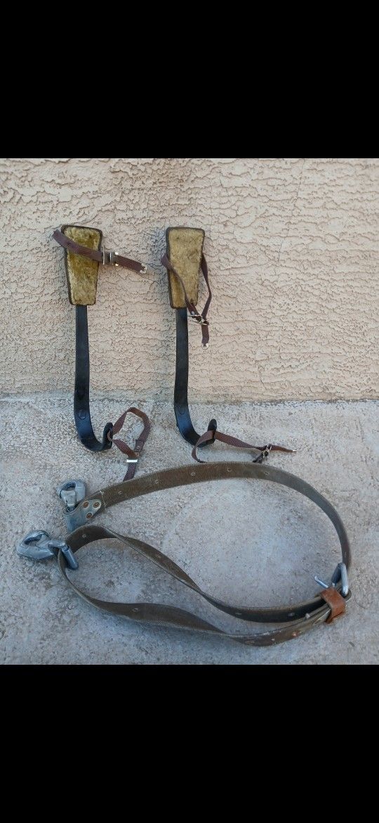 Cinto Y Picos Para Subir Árboles