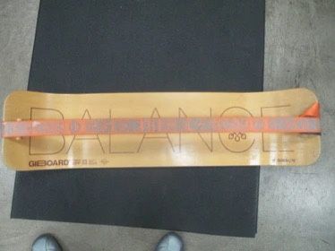Used Gibbon Balance Board ( Read Description )