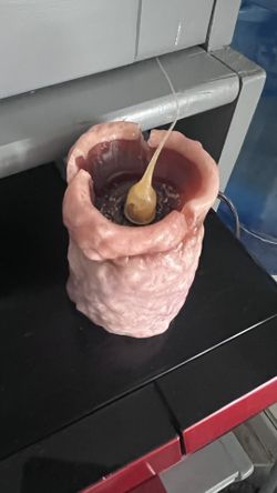 Country Electric Candle