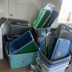 Bins with lids