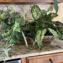 Decorative Plant 17x4 