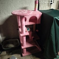 Tengo Una Gatita Gratis.