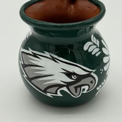 Philadelphia Eagles Mug NEW- Hand painted 