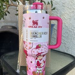 Strawberry Shortcake Mirror 40oz Tumbler NEW
