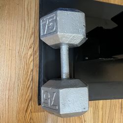 75 lb Dumbell (individual)