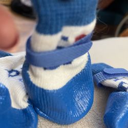 Dog Shoes 