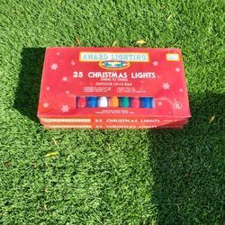 50 C9 Christmas Lights