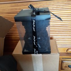 Black Teddy Bear In Plastic Case