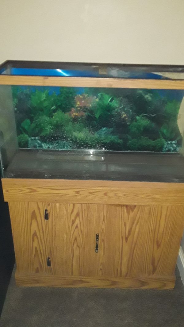 37 gallon fish tank for Sale in Sugar Creek, MO - Be734c30fc60431cae3e40e0eDaDeDD6