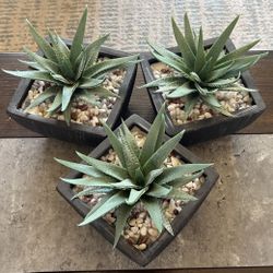 Fake Succulent Set 