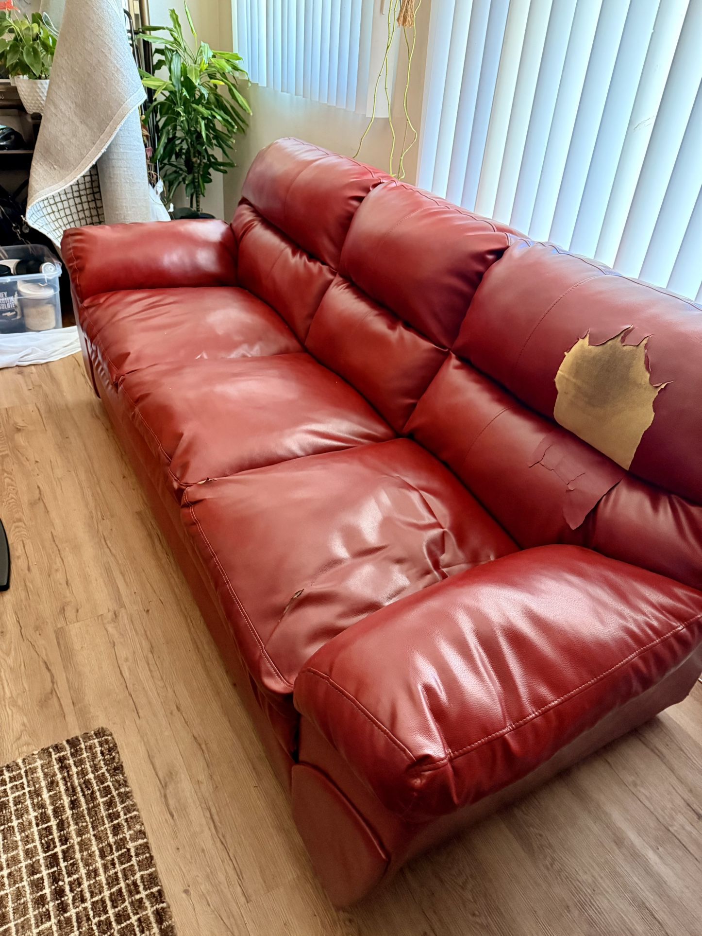 FREE Couch