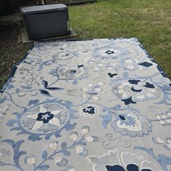Two 9 X 12 Indoor/Outdoor Rugs