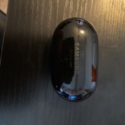 Samsung EarBud Case