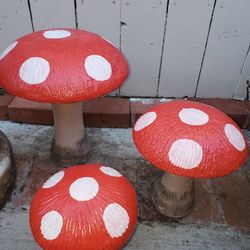 Mushrooms For Sale