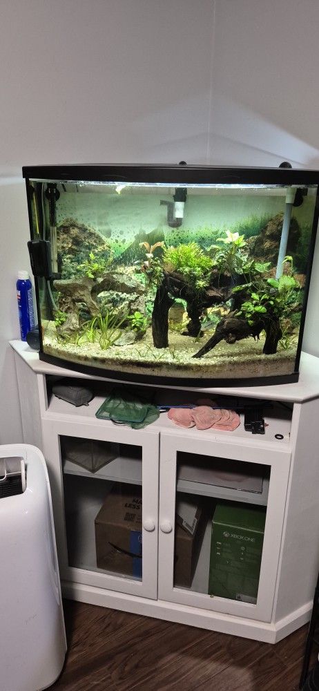 36gal (Complete set up)