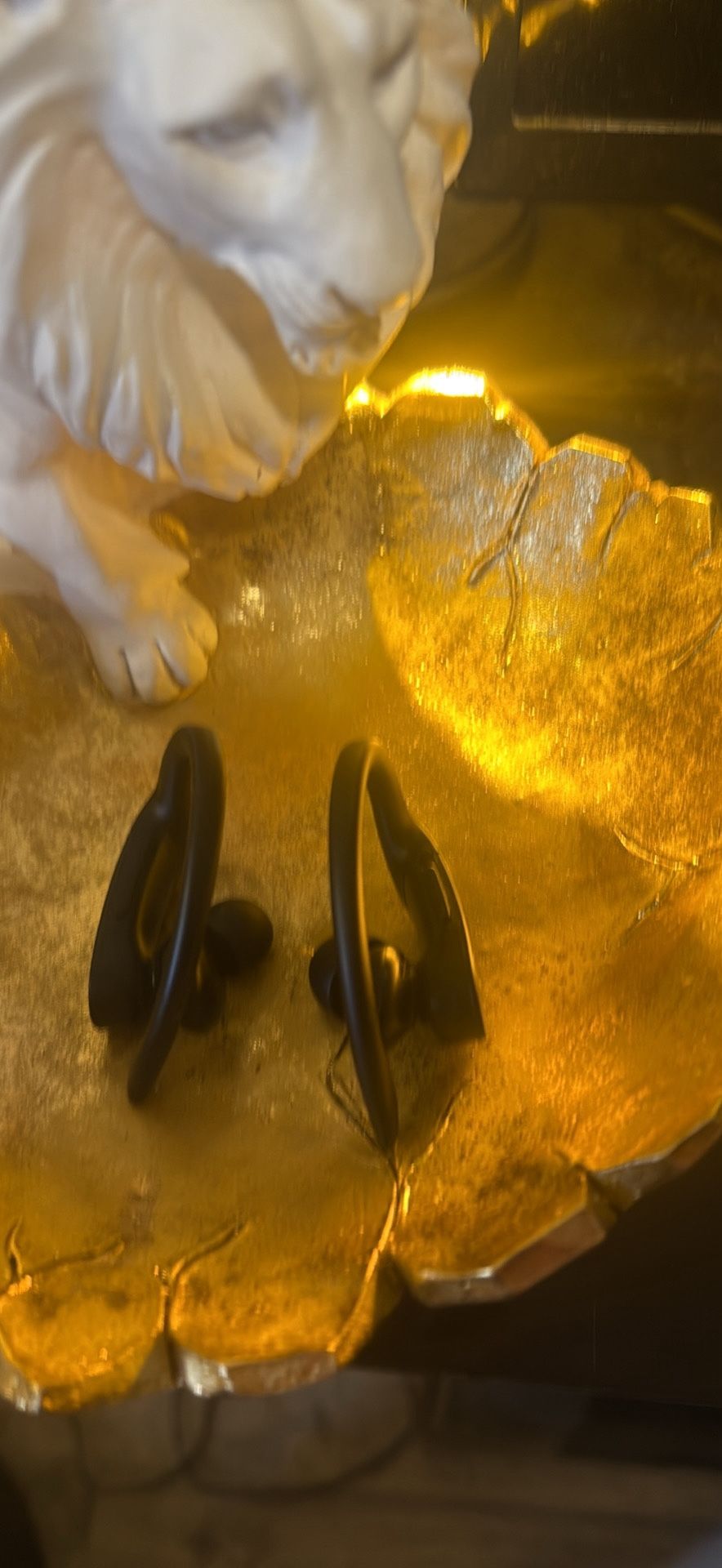 Powerbeats Pro Black Color 