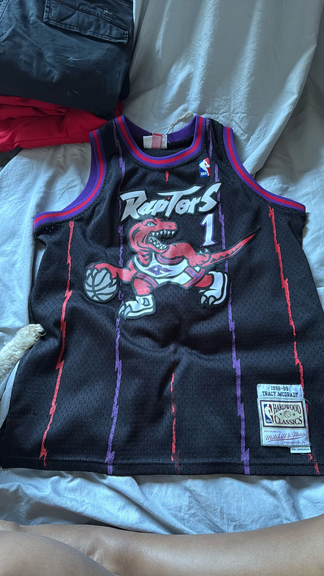 Kids Raptors Jersey