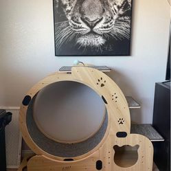 Large Cat Wheel 