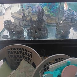 Fish Tanks 