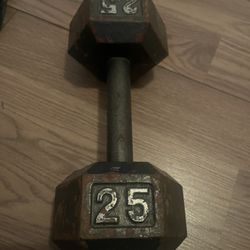 25 Pound Dumbbell 