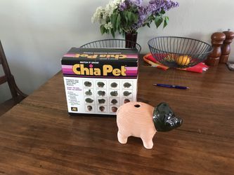 Genuine Chia Pet