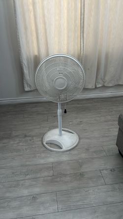 white fan lasko