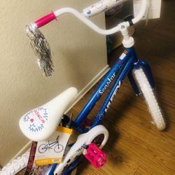 20 Sea Star Bike