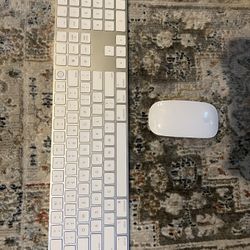 Apple Magic Keyboard wireless with Touch ID AND APPLE MAGIC MOUSE gen 2 rechargeable iPad Mac 