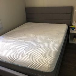 Queen Mattress And bed Like New