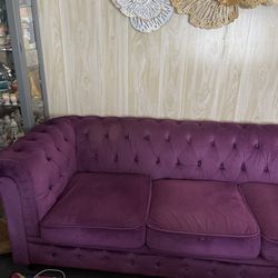 Purple Sofa