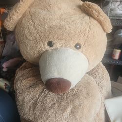 Giant Teddy Bear 