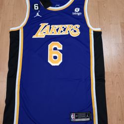 Lebron James Lakers Purple Jersey!