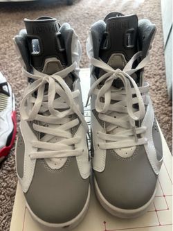 Jordan Cool grey 6