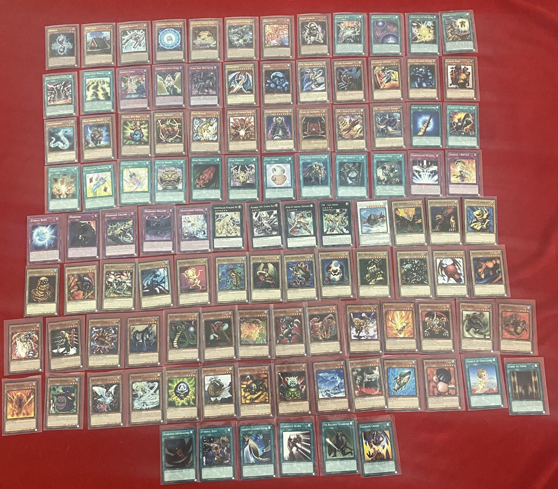YuGiOh Card Collection