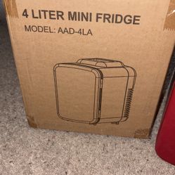 Mini Fridge 