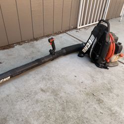 Echo Leaf Blower