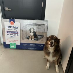 Brand New 42” Dog Crate – Top Paw Folding Large (Unused in Box)